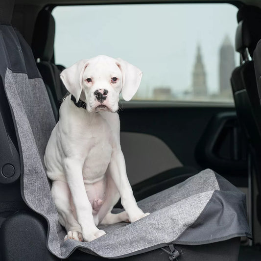 Bergan Auto Bucket Seat Protector